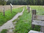 Lonnekerberg